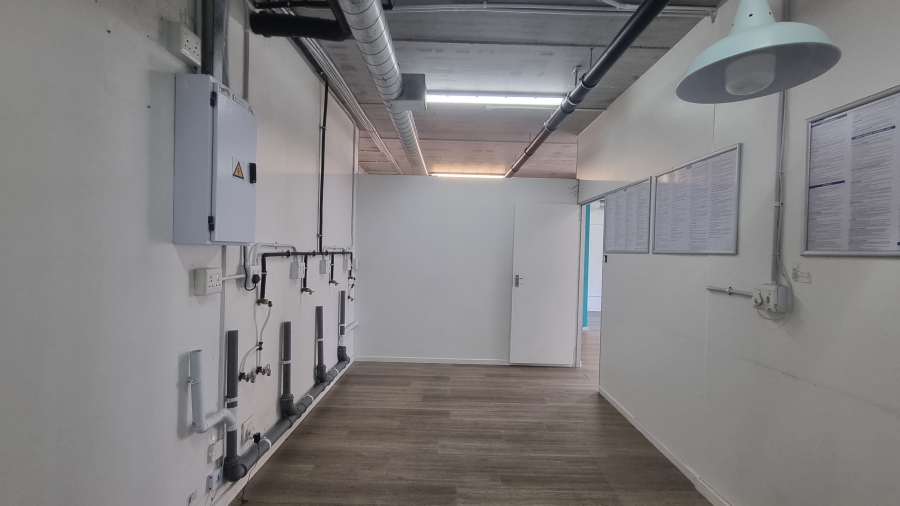 To Let Commercial Property for Rent in Diep River Western Cape